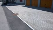 WP20140423019