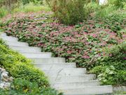 treppe-graechen-1