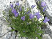 steingarten-saas-fee-2