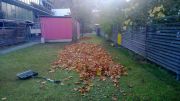 WP20131111004