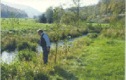 Bachverbau