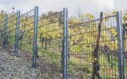 Doppelstabmatten-1-2013-3-1